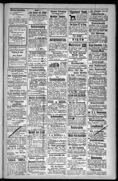 Het Nieuws, 1 augustus 1903 (nr. 61, jrg. 28)