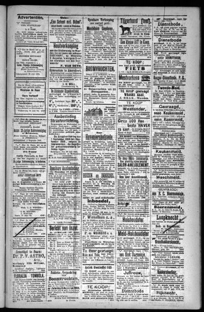 Het Nieuws, 1 augustus 1903 (nr. 61, jrg. 28)