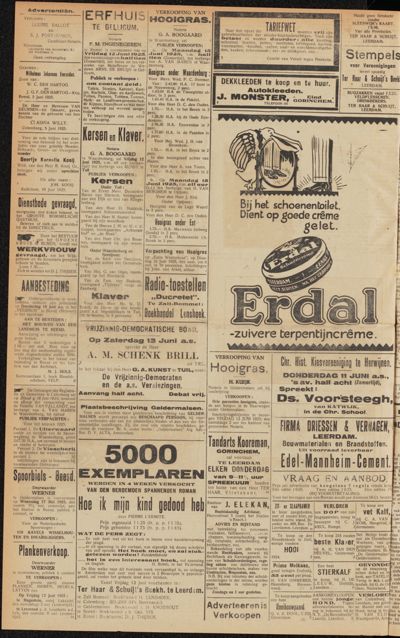 De Leerdammer, 10 juni 1925