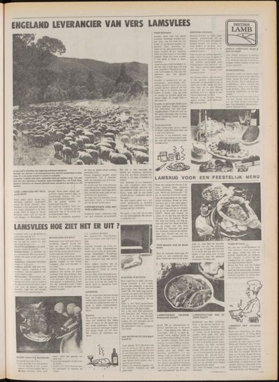 De Gecombineerde Zuid-Holland, 10 januari 1981